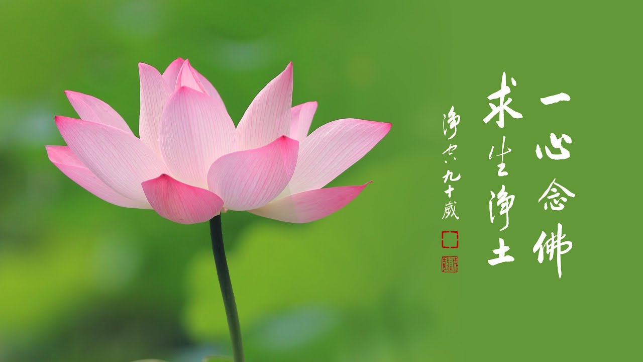 念佛感應事蹟