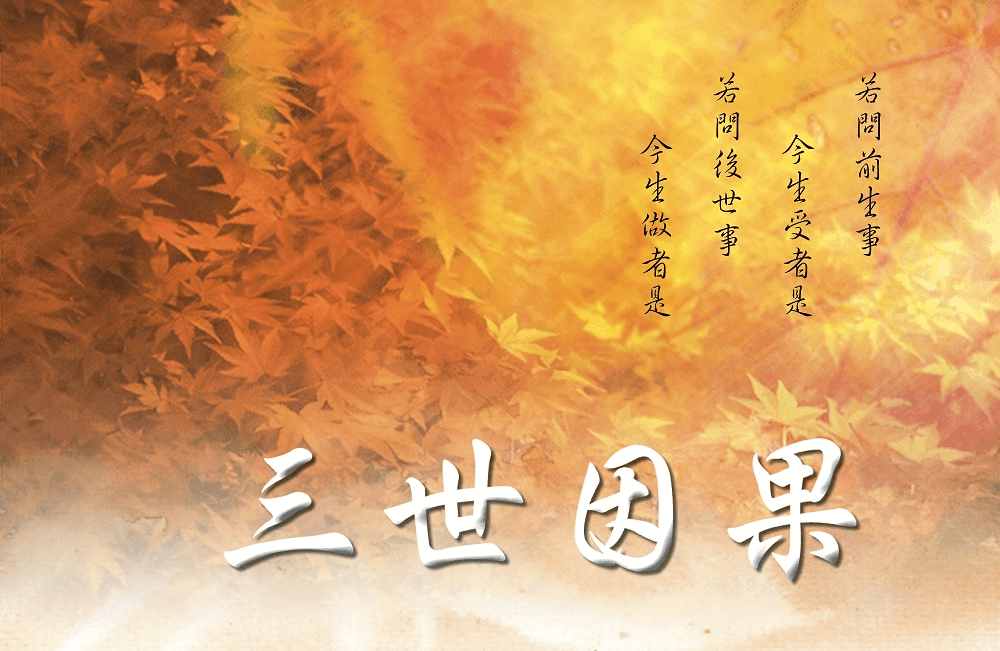虐殺貓所受的業報故事