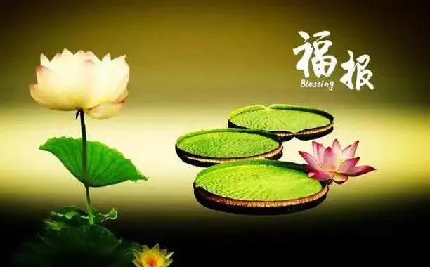 增長福報