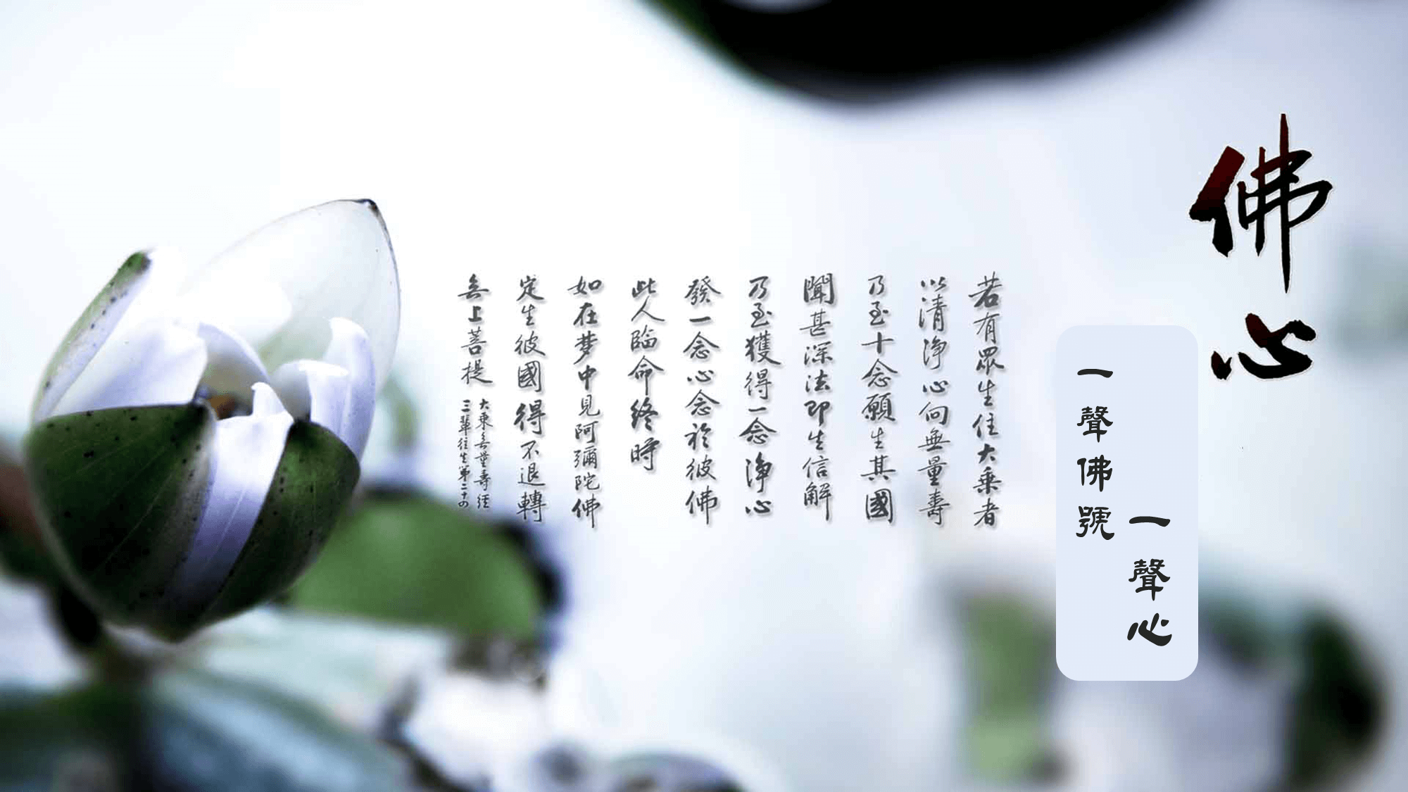 佛號功德不可思議|淨空老法師開示