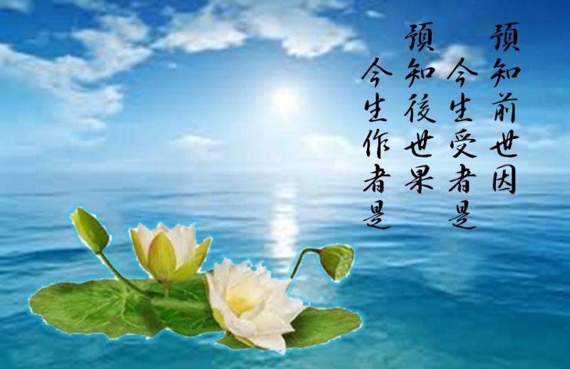 三世因果經